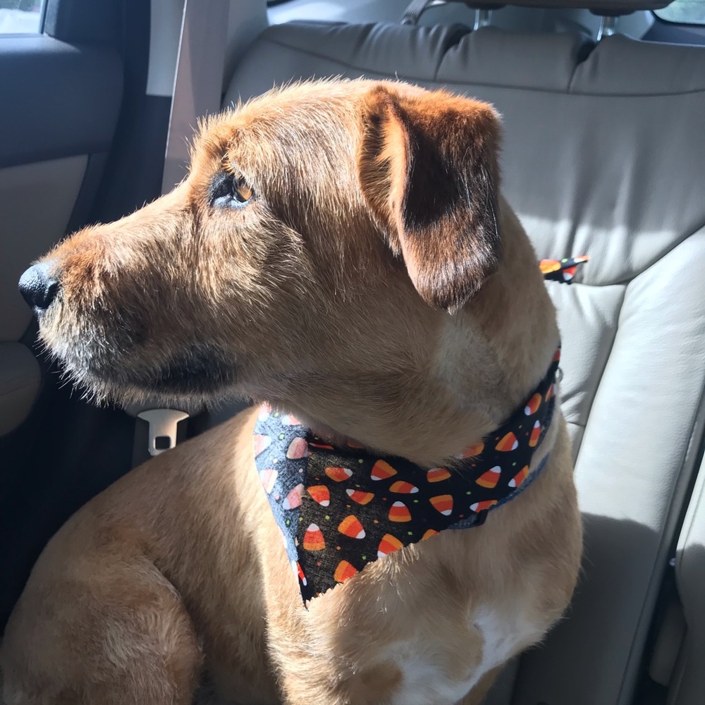 Meet your Posher, Andrea